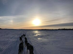 Crow Mountain Dogsled Adventure - Indigenous Yukon